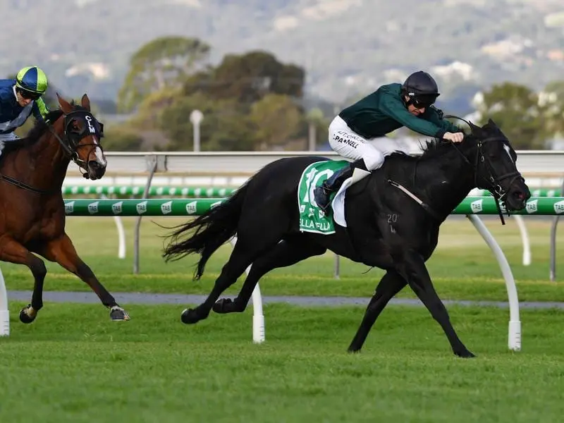 Group One Sangster Stakes winner Bella Vella will be given a spell ahead of a spring preparation. bella vella