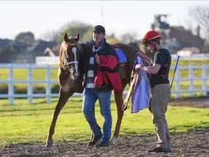 Django Freeman ready for Australian debut Django Freeman