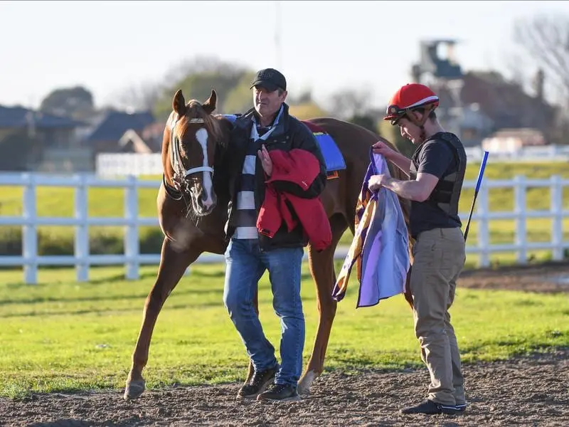 German Derby runner-up Django Freeman is a Flemington nomination.