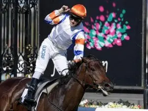 Hey Doc returns in boost for McEvoy stable Hey Doc