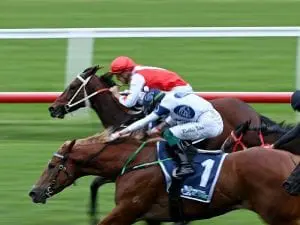 Apprentice Dolan ready for next chapter Blazing Miss