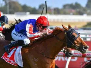 Melbourne Cup dream starts at Flemington Skelm