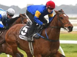 Santa Ana Lane aims for second Goodwood Santa Ana Lane