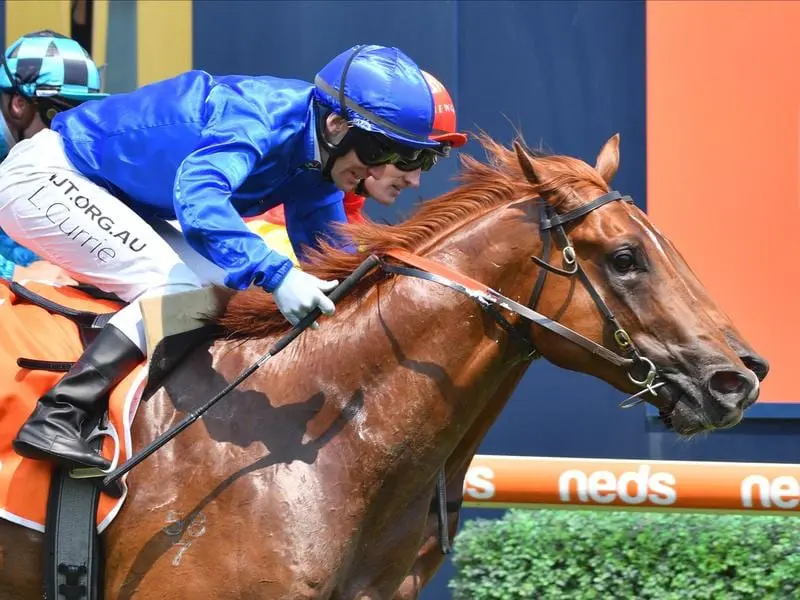 Hanseatic, one of the stars of the juvenile season, will be kept to sprint races in the spring. Talented Godolphin two-year-old Hanseatic.