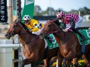 Kendrick chases his first Stradbroke win Tambo's Mate
