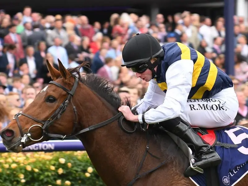 Syndicator OTI Racing is confident Irish-trained True Self will return for the Melbourne spring. True Self wins the 2019 Queen Elizabeth Stakes.