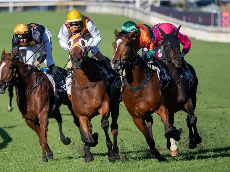 doomben races