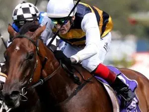 Top NZ jockey Waddell in Australian move Jason Waddell