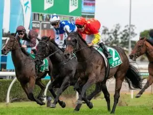 Hightail breaks Gold Coast duck in Guineas Hightail