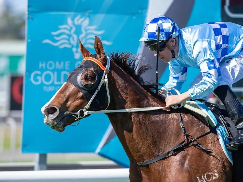 Oriental Runner has broken a long run of outs in his first run for a new stable at the Gold Coast. Oriental Runner wins at the Gold Coast.