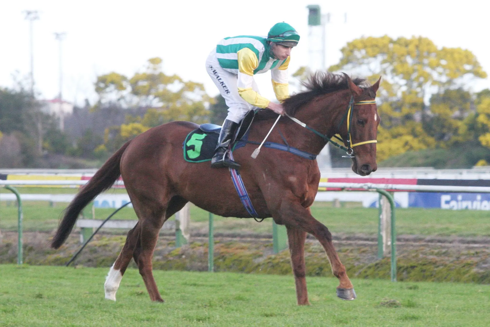 Irish Rover