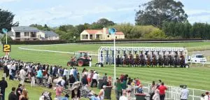 MANAWATU RACING CLUB - MAIN STRAIGHT - START Awapuni Racecourse