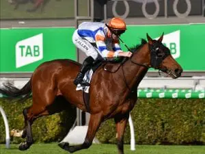 Game Keeper impresses in Adelaide Guineas Game Keeper