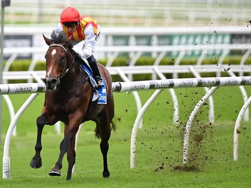 Peltzer ploughs through the mud to win at Randwick.