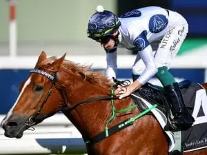 Blazing Miss fires up for Randwick victory Blazing Miss