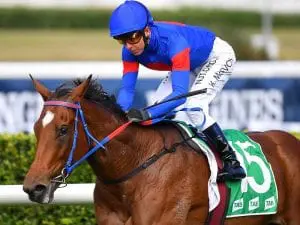 Tejori lives up to Highway Handicap favouritism Tejori