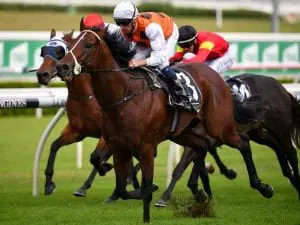 2021 Scone Cup betting preview, tips & best odds | Friday, May 14 Bottega