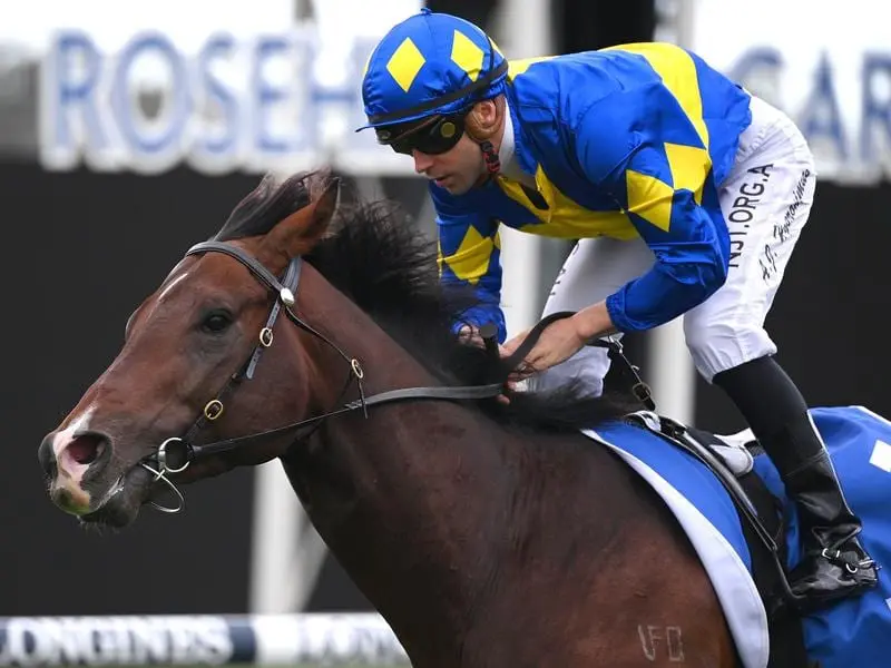 Dawn Passage wins the Inglis 3YO Guineas at Rosehill.