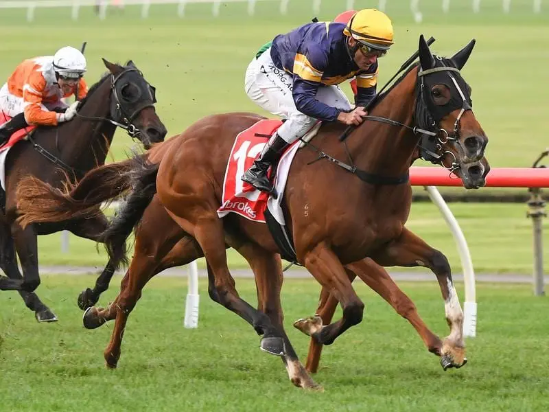 Buffalo River continues on his winning way at Sandown.