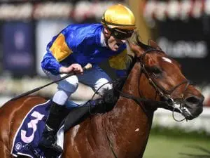 Santa Ana Lane topweight for Stradbroke Santa Ana Lane