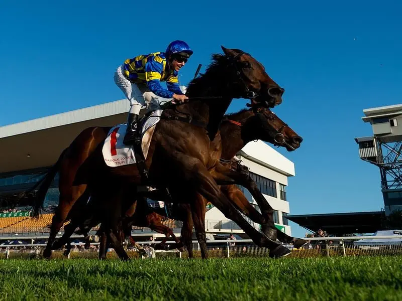 Tarzan in winning form at Doomben.