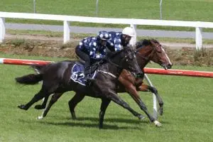 lot 162 breeze 4779 Brando