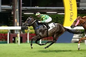 Moreira and Fownes double up at the Valley Green Luck