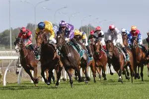 New Zealand Racing