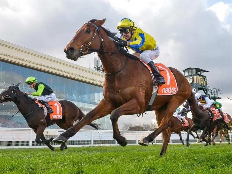 Michael Rodd wins on Mystery Shot at Caulfield.