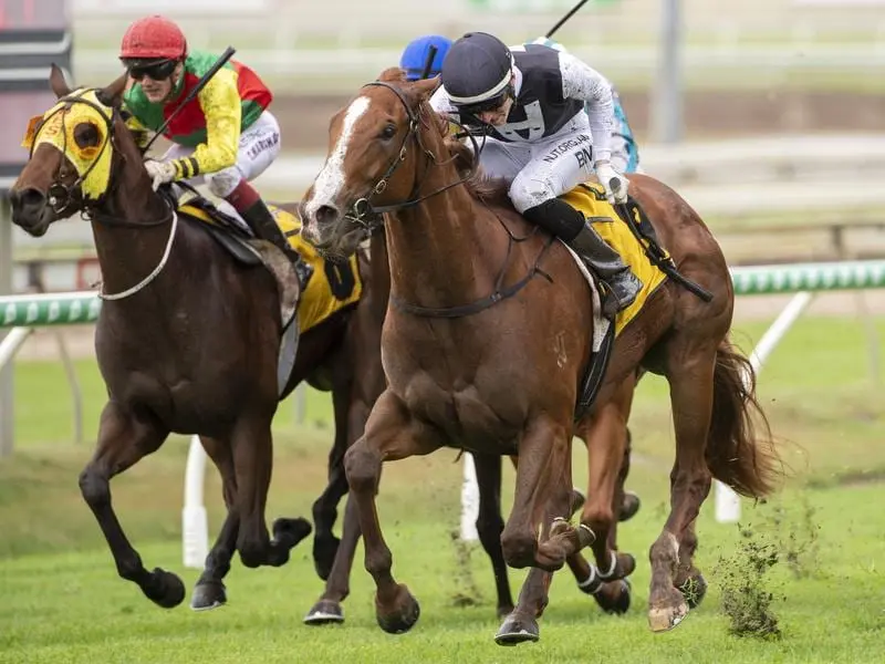 The Actuary wins the Listed Phoenix at Doomben.