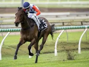 Gollan reaches 100 metropolitan winners Howwonderfullifeis