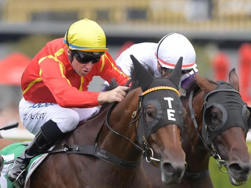 Winter Bride will contest the Dane Ripper Stakes at Eagle Farm.