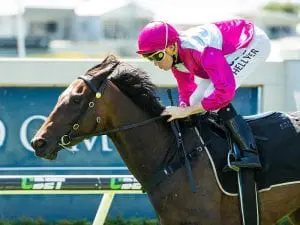 Stradbroke reject to chase consolation Baccarat Baby