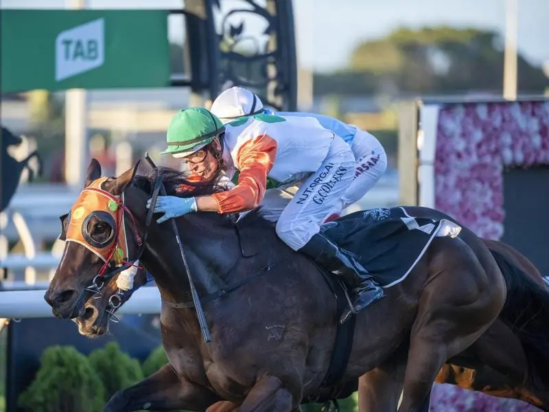 Love You Lucy wins the Dane Ripper Stakes.