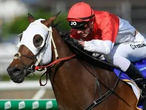 Niccanova to back-up in Eagle Farm Mile Niccanova