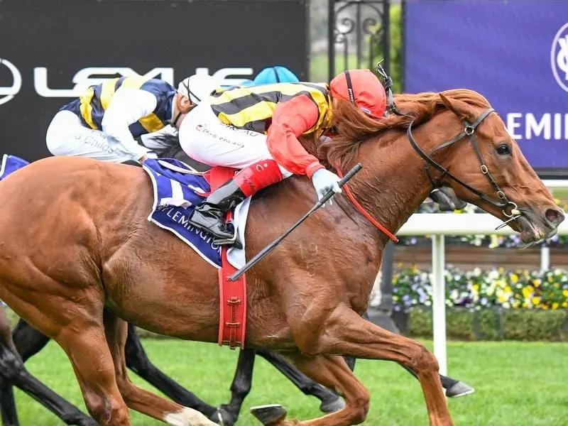 Vassilator wins at Flemington under Craig Williams.