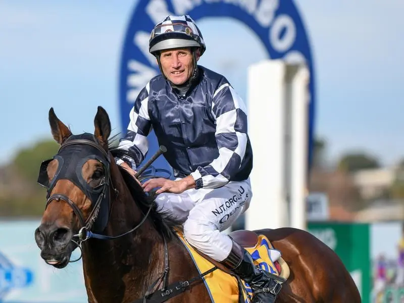Order Of Command is among several strong chances for in-form trainer Danny O'Brien at Flemington. Order Of Command.
