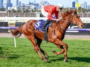 Cherry Tortoni in strong Flemington win Cherry Tortoni