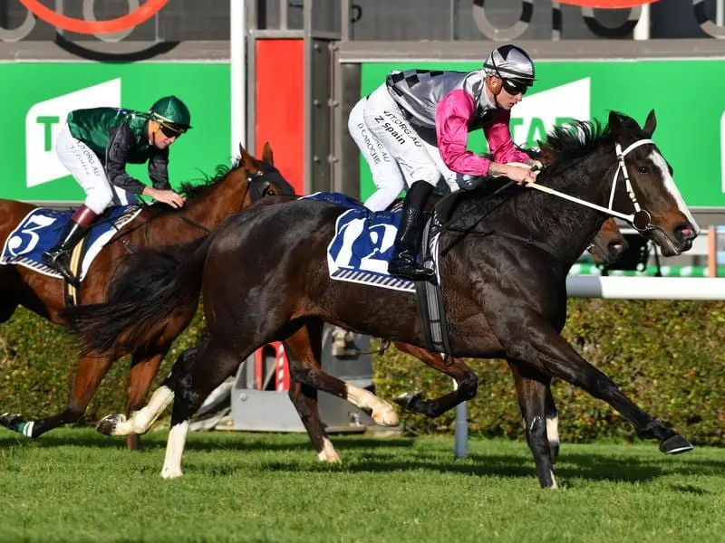 Miss Mandito winning at Morphettville.