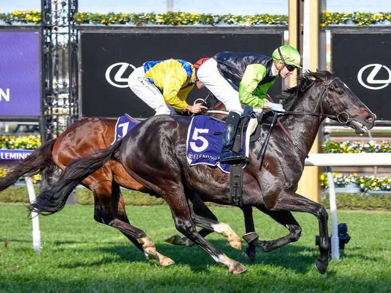 Persan wins at Flemington.