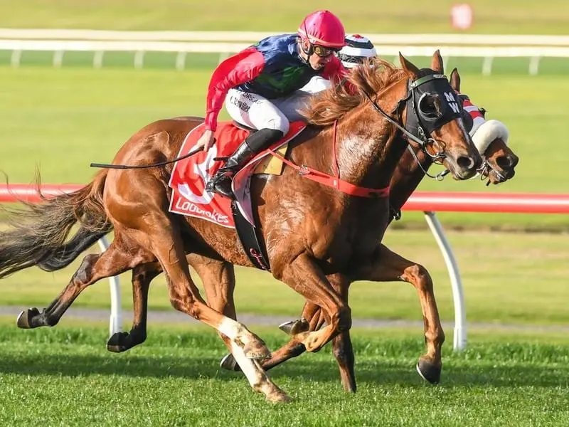 Brilliant Concept wins at Sandown.