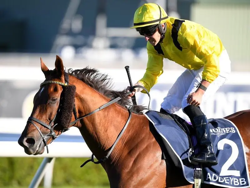 Addeybb wins the Queen Elizabeth Stakes at Randwick.