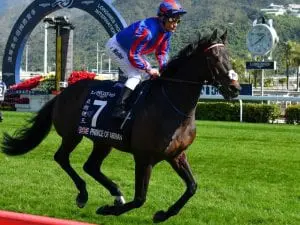 Cross Counter, Prince Of Arran in Gold Cup Prince Of Arran