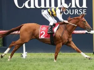 Gailo Chop back in work for another spring Gailo Chop