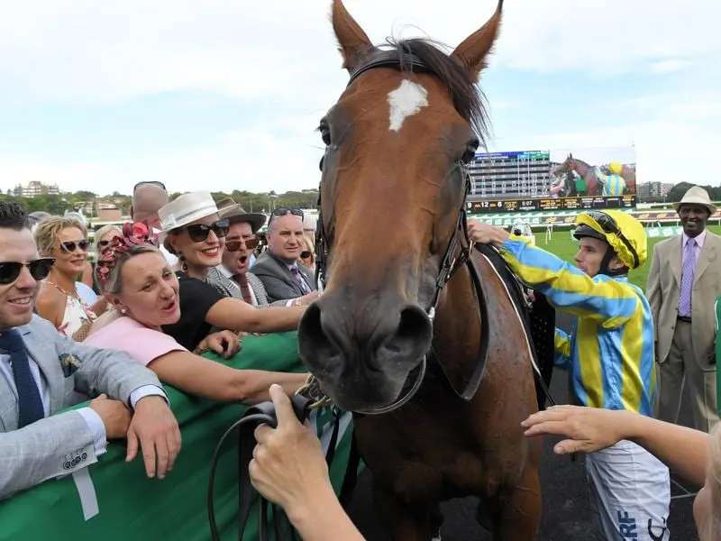 Owners are allowed back at Randwick this weekend