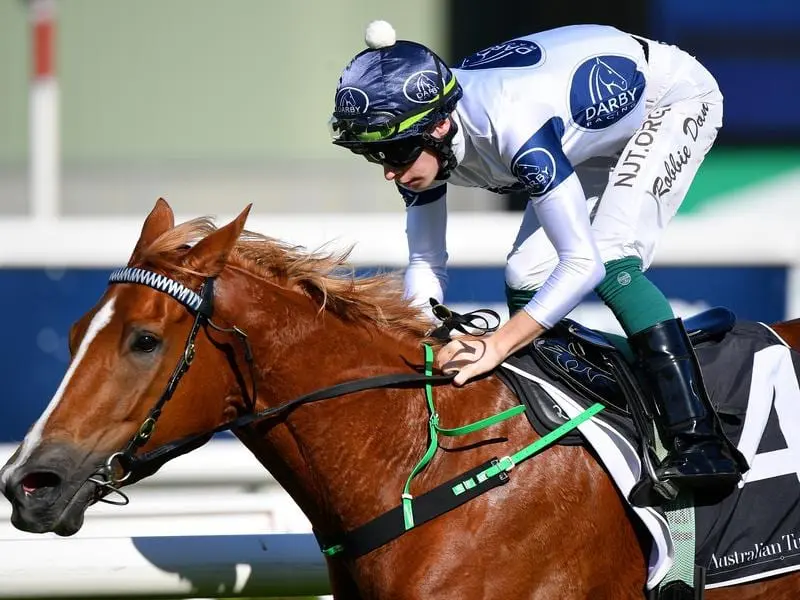 Blazing Miss is chasing a third-straight city win in Saturday's benchmark 88 Handicap at Rosehill. Blazing Miss