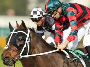 In-form Wu Gok heads McKell Cup weights Wu Gok