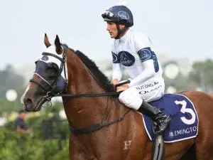 Time To Reign set for return at Rosehill Time To Reign