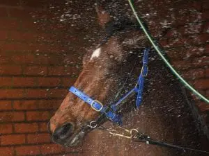 Everest potential target again for Santa Santa Ana Lane