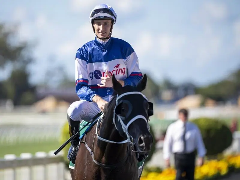 Jockey Luke Dittman returns to scale after riding Stardome to victory